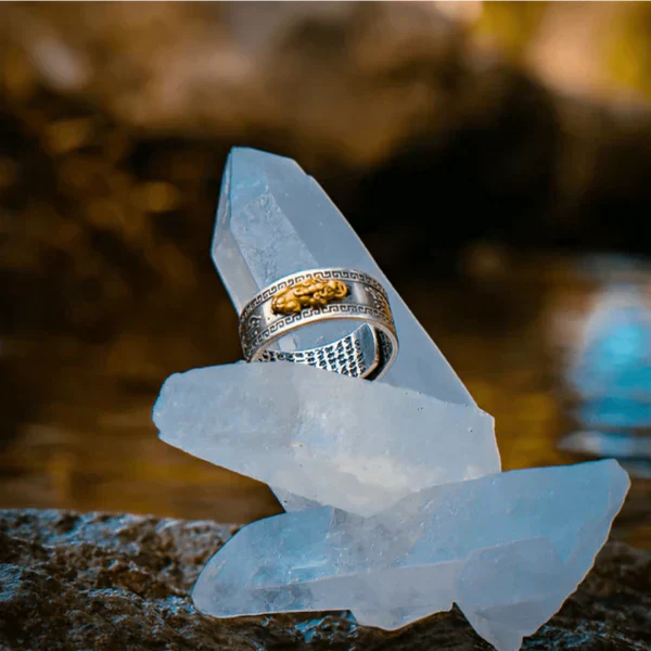 Anillo buda para la abundancia Pixiu®